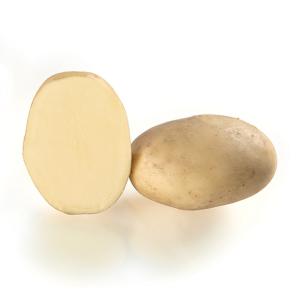 Sjemenski krumpir, LOANE – kalibraža 35-55, 10 kg