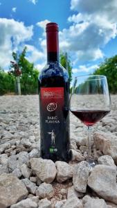 MasVin kvalitetno vino Babić Plavina 2020, 0,75 l